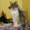 Отзыв от Анна Игнатова